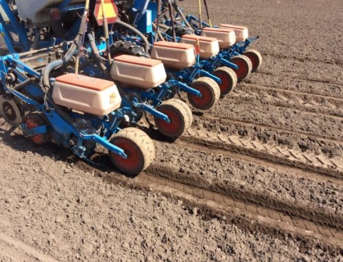 Pim Clotscher (adviseur biologisch) in Nieuwe Oogst