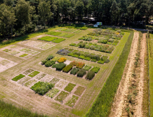 26 Augustus: bezoek onze proeftuin